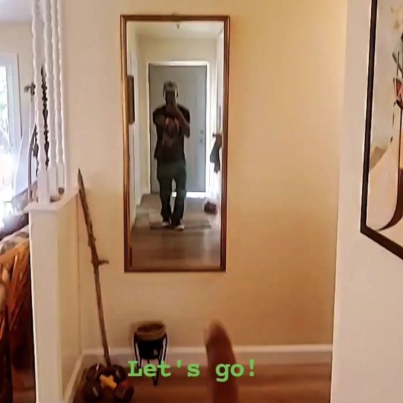 Meet your Posher, Sequa - Picture 1 of 1